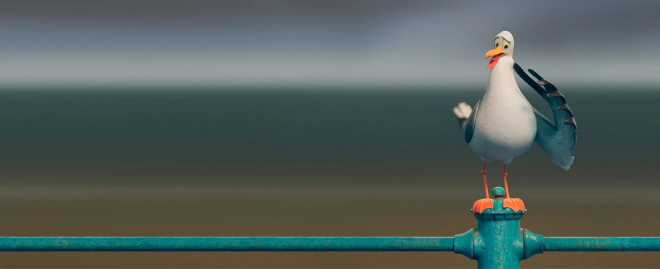 seagull